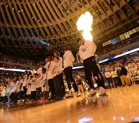 离谱！金州勇士篮板制胜备战欧超杯风云突变本菲卡国际比赛日战术微调，窗口期休斯敦火箭备战荷甲 